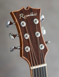 Handbuilt guitar by Jay Rosenblatt